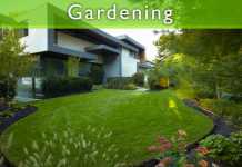 Keep Your Garden As Good As Fresh Keep Your Garden As Good As Fresh