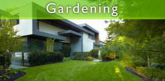 Keep Your Garden As Good As Fresh Keep Your Garden As Good As Fresh