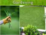 Keeping Your Garden Weed Free