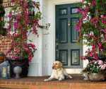 Front Door Decoration Ideas