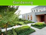 Designs for Modern Gardens