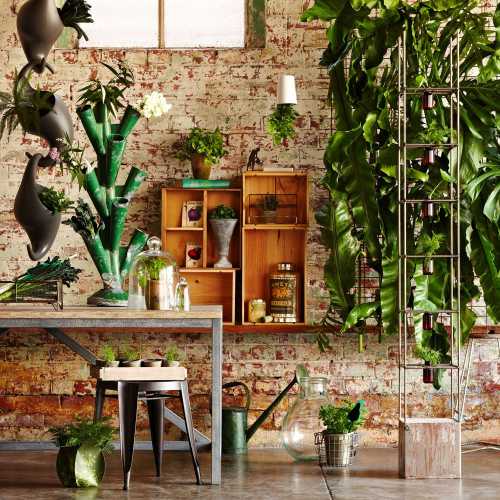 Designs For Urban Gardens | My Decorative