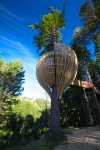 Yellow_Treehouse_Restaurant_Auckland_New_Zealand_Pacific_Environments_Architects_11