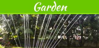 Looking Forward To A Beautiful Spring Lawn And Garden? Looking Forward To A Beautiful Spring Lawn And Garden?
