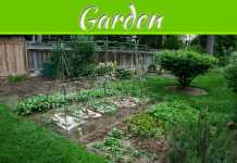 6 Ways To Make Your Garden Go Really “Green” 6 Ways to Make Your Garden Go Really "Green"