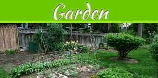 6 Ways To Make Your Garden Go Really “Green” 6 Ways to Make Your Garden Go Really "Green"