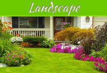 Landscape Magic: Spring Tips For An Immaculate Lawn And Garden Landscape Magic: Spring Tips For An Immaculate Lawn And Garden