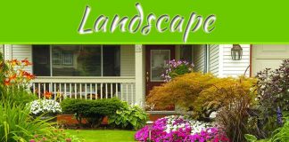 Landscape Magic: Spring Tips For An Immaculate Lawn And Garden Landscape Magic: Spring Tips For An Immaculate Lawn And Garden
