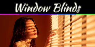 Complete Guide: How To Choose The Perfect Window Blinds Complete Guide: How To Choose The Perfect Window Blinds