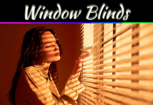 Complete Guide: How To Choose The Perfect Window Blinds