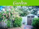 Cost-Effective Ways to Bring Your Garden Back to Life Cost-Effective Ways to Bring Your Garden Back to Life