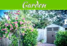 Cost-Effective Ways to Bring Your Garden Back to Life Cost-Effective Ways to Bring Your Garden Back to Life