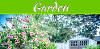 Cost-Effective Ways to Bring Your Garden Back to Life Cost-Effective Ways to Bring Your Garden Back to Life