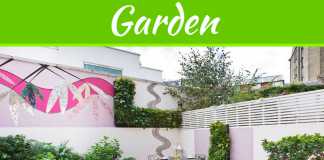 Seven Bright Ideas for a More Beautiful Backyard Seven Bright Ideas for a More Beautiful Backyard