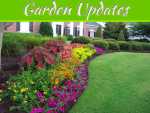 Top 5 Garden Updates to Increase Your Home’s Sale Appeal Top 5 Garden Updates to Increase Your Home's Sale Appeal