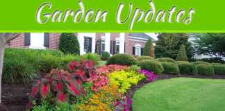 Top 5 Garden Updates to Increase Your Home’s Sale Appeal Top 5 Garden Updates to Increase Your Home's Sale Appeal