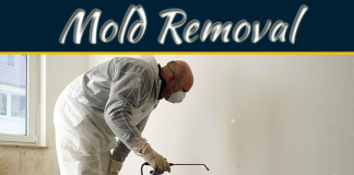 The Importance Of Mold Removal Mold Abatement and Removal - Find Mold Removal Service in Bethesda