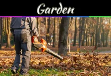Why Dead Leaves Are Destroying Your Garden (And What To Do) Why Dead Leaves Are Destroying Your Garden (And What To Do)