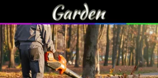 Why Dead Leaves Are Destroying Your Garden (And What To Do) Why Dead Leaves Are Destroying Your Garden (And What To Do)