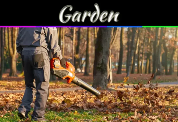 Why Dead Leaves Are Destroying Your Garden (And What To Do)