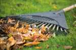 5 Ways to Prepare your Lawn for Winter