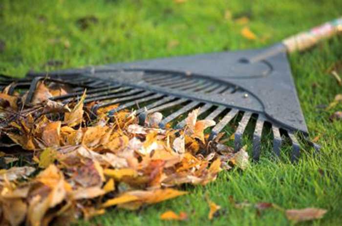 5 Ways to Prepare your Lawn for Winter
