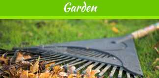 5 Ways to Prepare your Lawn for Winter 5 Ways to Prepare your Lawn for Winter