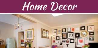 Displaying Your Collections As Part Of Décor Displaying Your Collections As Part Of Décor