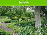 Backyard Designs: Unique Features to Implement