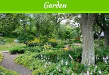 Backyard Designs: Unique Features to Implement