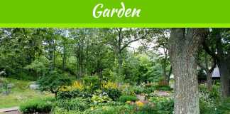 Backyard Designs: Unique Features to Implement