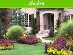 4 Ways to Clean Up Your Curb Appeal for Summer 4 Ways To Clean Up Your Curb Appeal For Summer
