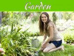 Rejuvenate Your Garden With Stunning Flowering Vines Rejuvenate Your Garden With Stunning Flowering Vines