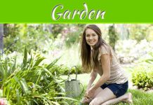 Rejuvenate Your Garden With Stunning Flowering Vines Rejuvenate Your Garden With Stunning Flowering Vines