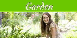 Rejuvenate Your Garden With Stunning Flowering Vines Rejuvenate Your Garden With Stunning Flowering Vines