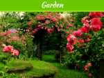 6 Mighty Things To Ensure Preventing Roses from Winter 6 Mighty Things To Ensure Preventing Roses From Winter