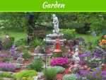 Landscaping Basics for Starting up a Yard from Scratch Landscaping Basics for Starting up a Yard from Scratch