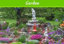 Landscaping Basics for Starting up a Yard from Scratch Landscaping Basics for Starting up a Yard from Scratch