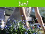 6 Ways To Get Your Yard Ready For Summer