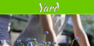 6 Ways To Get Your Yard Ready For Summer 6 Ways To Get Your Yard Ready For Summer