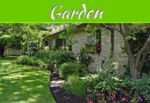 When Wildlife Isn’t Wild Enough: Preventing Unwelcomed Visitors To Your Home, Yard And Garden When Wildlife Isn't Wild Enough: Preventing Unwelcomed Visitors To Your Home, Yard And Garden