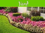 5 Ways To Beautify Your Yard This Summer 5 Ways To Beautify Your Yard This Summer
