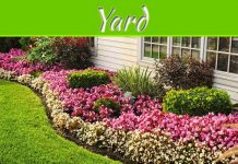 5 Ways To Beautify Your Yard This Summer 5 Ways To Beautify Your Yard This Summer