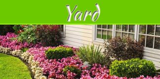 5 Ways To Beautify Your Yard This Summer 5 Ways To Beautify Your Yard This Summer