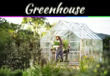 How To Heat Your Greenhouses During Winter How To Heat Your Greenhouses During Winter
