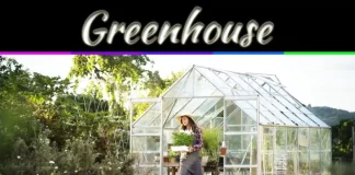 How To Heat Your Greenhouses During Winter How To Heat Your Greenhouses During Winter