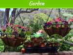 Modular Gardening or Gardening in a Box – What’s the Best