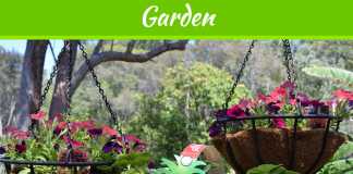 Modular Gardening or Gardening in a Box – What’s the Best