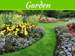 4 Yard Care Techniques You Are Probably Doing Wrong 4 Yard Care Techniques You Are Probably Doing Wrong