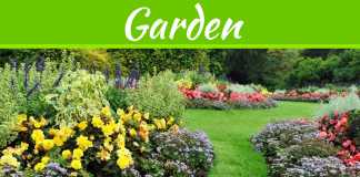 4 Yard Care Techniques You Are Probably Doing Wrong 4 Yard Care Techniques You Are Probably Doing Wrong